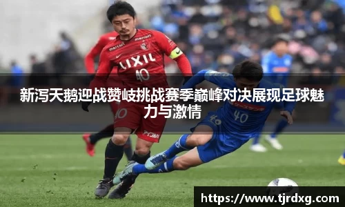 新泻天鹅迎战赞岐挑战赛季巅峰对决展现足球魅力与激情